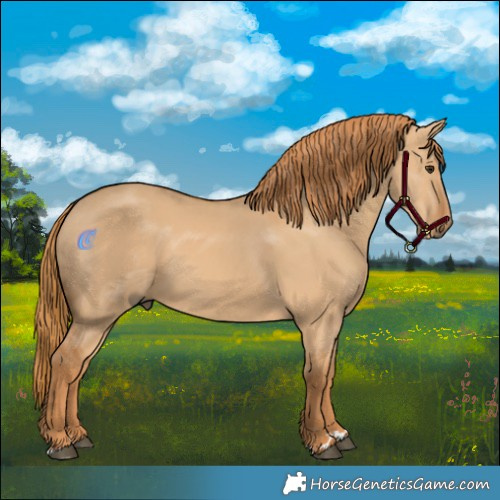 Horse Color:Red Dun 