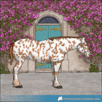 Horse Color:Chestnut Near Leopard Rabicano