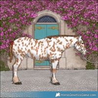 Horse Color:Chestnut Near Leopard Rabicano 