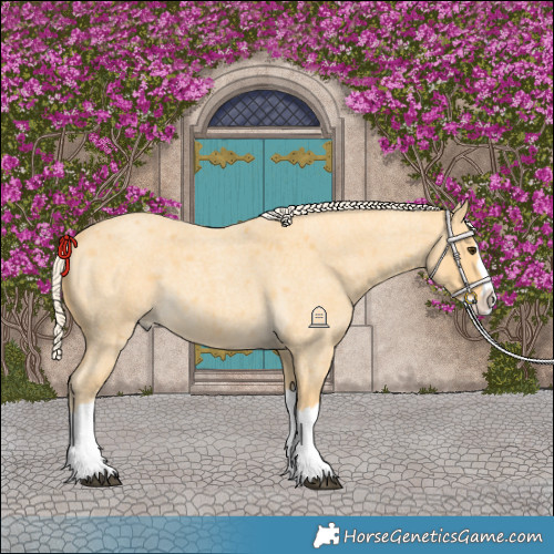 Horse Color:Palomino Roan Splash