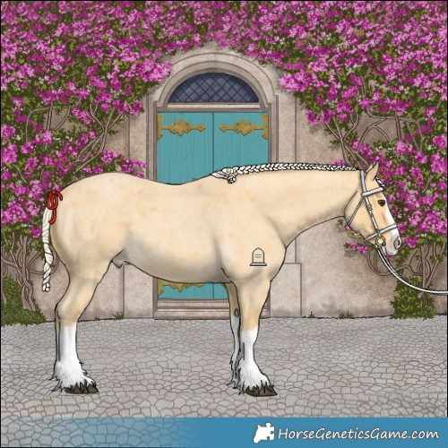 Horse Color:Palomino Roan Splash 