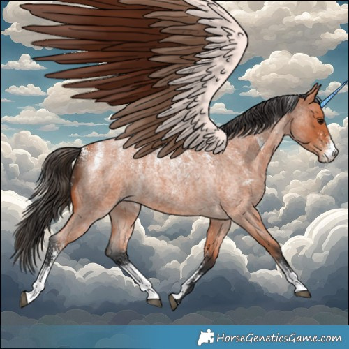 Horse Color:Powder White Bay Roan 