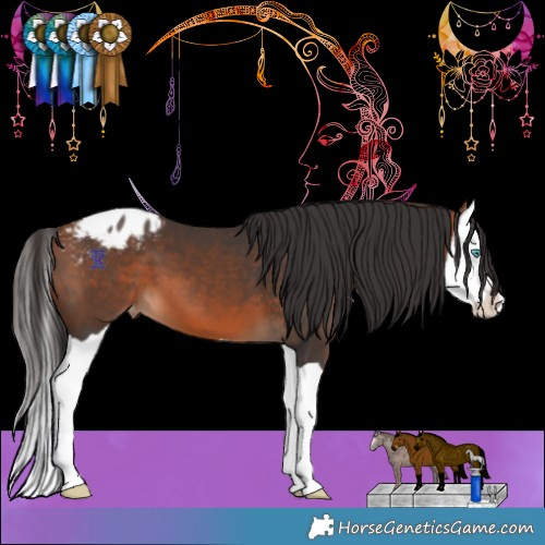 Horse Color:Bay Splash Blanket