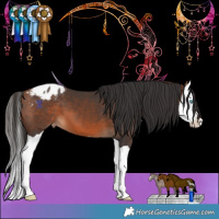 Horse Color:Bay Splash Blanket