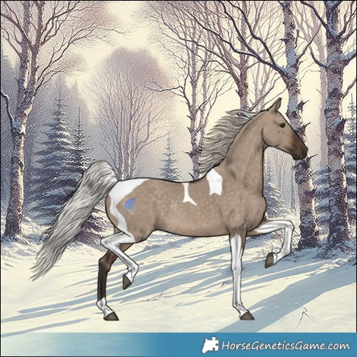Horse Color:Silver Brown Dun Tobiano Rabicano 