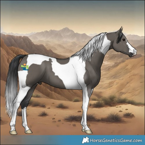 Horse Color:Grullo Tobiano