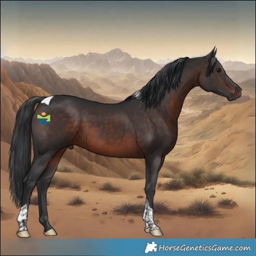 Horse Color:Brown Mushroom Tobiano 