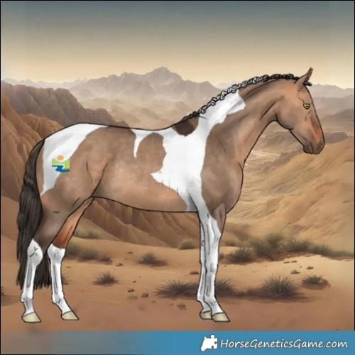 Horse Color:Bay Dun Tobiano Rabicano 