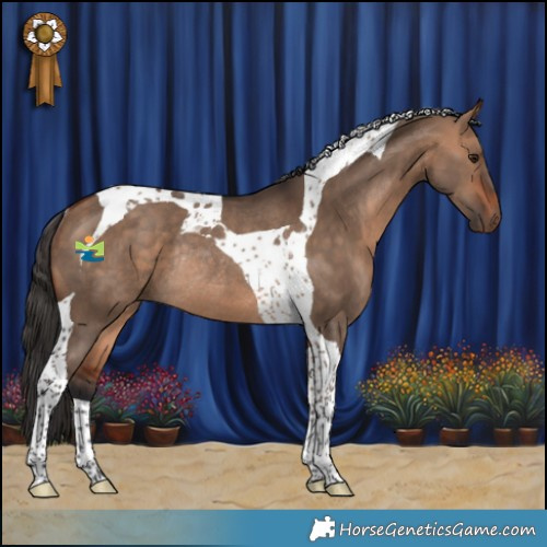 Horse Color:Bay Dun Tobiano Rabicano