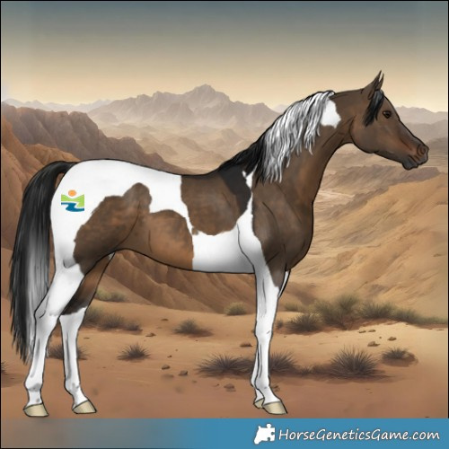 Horse Color:Gray Bay Dun Tobiano