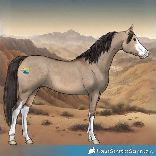 Horse Color:White Spotted Bay Dun