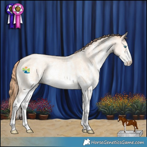 Horse Color:Sable Cream Champagne Pearl Sabino