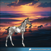 Horse Color:White Spotted Grullo Rabicano 