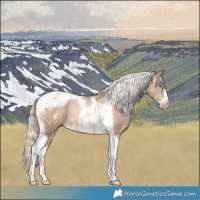Horse Color:Chocolate Palomino Pearl Tobiano Frame  and Chocolate Palomino Pearl Tobiano Frame 