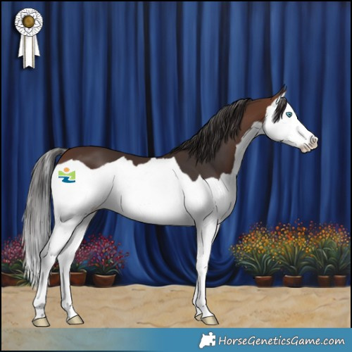 Horse Color:Brown Splash