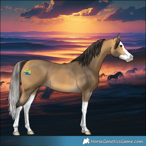 Horse Color:Buckskin Splash