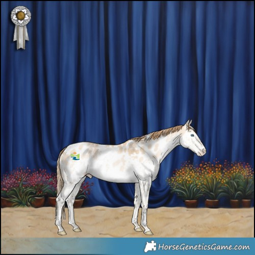 Horse Color:White Spotted Buckskin Pearl Splash Appaloosa Rabicano 