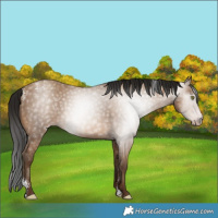 Horse Color:Powder White Gray Amber Champagne 