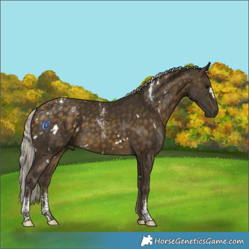 Horse Color:Powder White White Spotted Silver Buckskin 