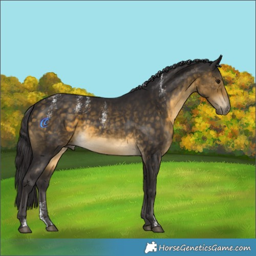 Horse Color:Powder White Buckskin