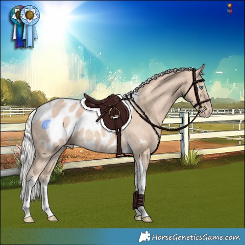 Horse Color:Silver Perlino Tobiano Appaloosa