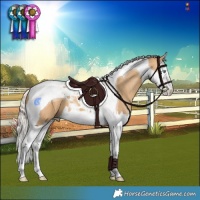 Horse Color:Silver Sable Cream Champagne Splash Tobiano 