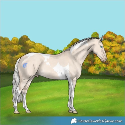 Horse Color:Silver Perlino Dun Tobiano