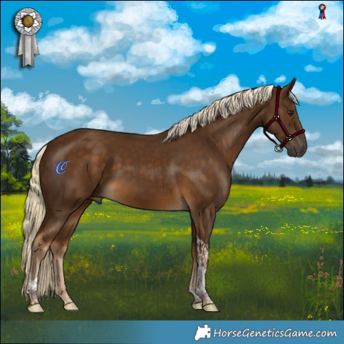 Horse Color:Chocolate Palomino Tobiano