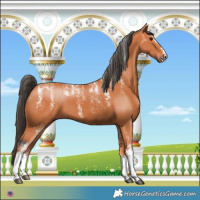 Horse Color:Powder White Bay