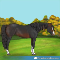 Horse Color:Brown Varnish 