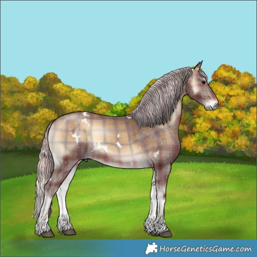 Horse Color:Plaid  White Spotted Silver Brown Onyx 