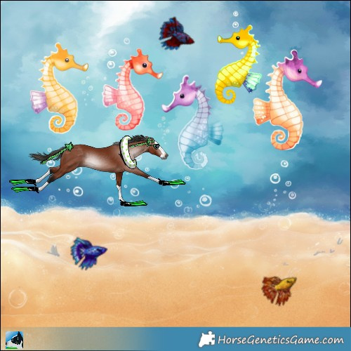 Horse Color:Gray Bay Splash