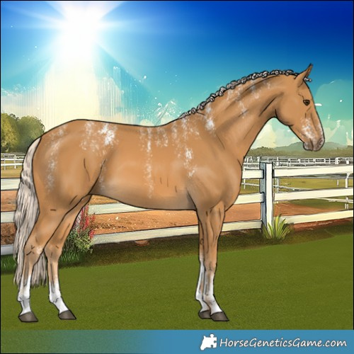 Horse Color:Powder White Palomino