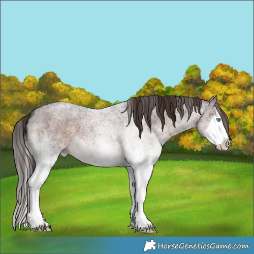 Horse Color:White Spotted Liver Red Roan Splash 