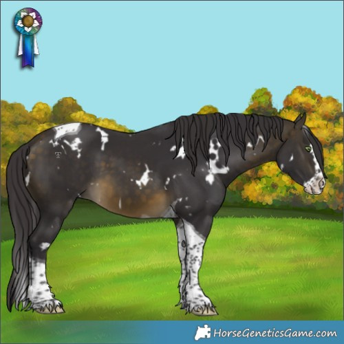 Horse Color:White Spotted Buckskin Splash Tobiano