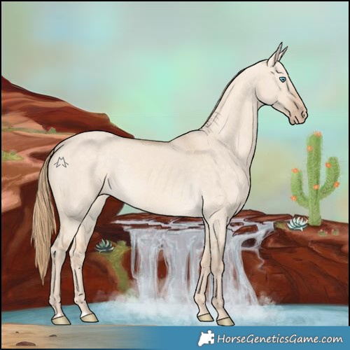 Horse Color:Perlino Dun 
