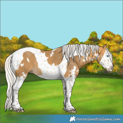 Horse Color:White Spotted Silver Buckskin Splash Tobiano