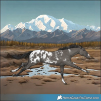 Horse Color:Powder White Grullo Frame Blanket 