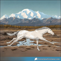 Horse Color:Cremello Dun Blanket