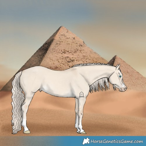 Horse Color:Cremello Dun 