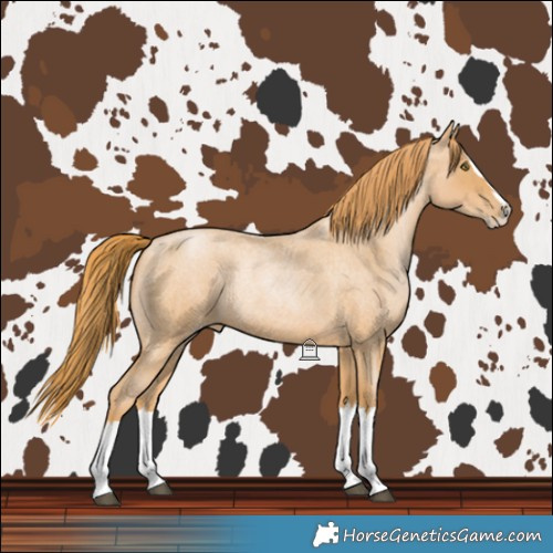 Horse Color:Red Roan Pearl Splash 