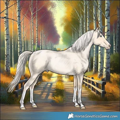 Horse Color:Palomino Roan Pearl Splash 