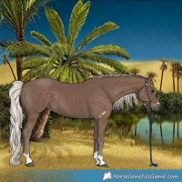 Horse Color:Silver Black 