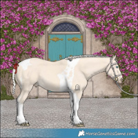 Horse Color:Cremello Tobiano
