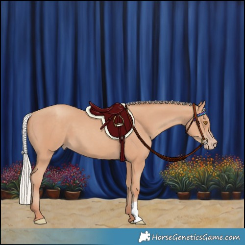 Horse Color:Silver Classic Champagne 