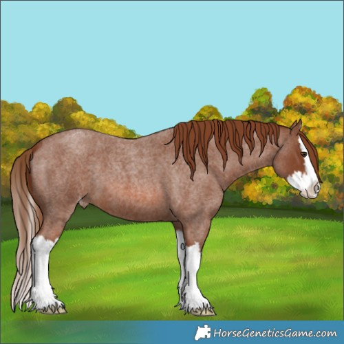 Horse Color:Red Roan Splash Varnish