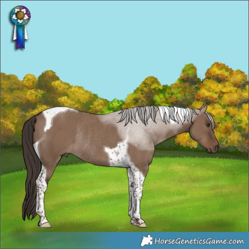 Horse Color:Liver Red Dun Tobiano Rabicano