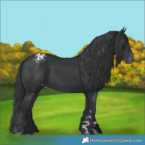 Horse Color:Black Varnish 