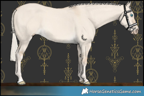 Horse Color:Cremello Dun