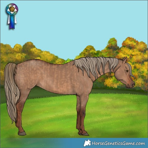 Horse Color:Red Dun  and Liver Red Dun 